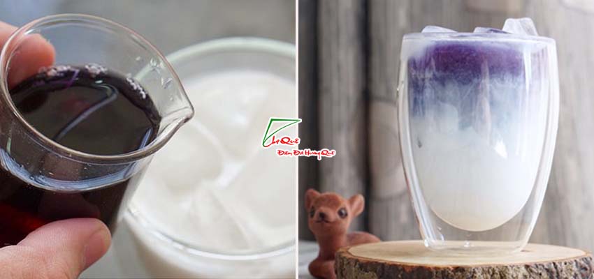 L&agrave;m nước cốt dừa hoa đậu biếc